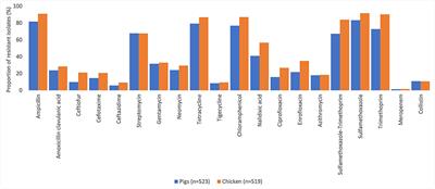 Antimicrobial Resistance Pilot Surveillance of Pigs and Chickens in Vietnam, 2017–2019